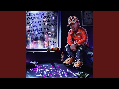 DOSTAŇ SE VEN (WHAT CAN I SAY?)