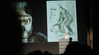 Sguardi 2024 (pt.2) - Archeologia