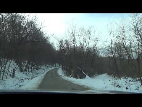 Margina, Zorani, Groși (UPDATE 2021)