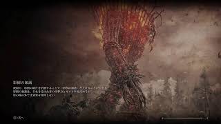 エルデンリング　月を掴むまで＃13