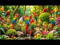 The Hidden Beauty Of Wild Birds In Spring Wonderland Nature S Most Fascinating Secret Revealed