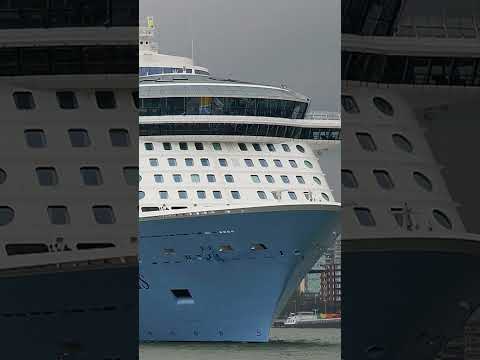 Thumbnail for Ovation of the Seas Horn