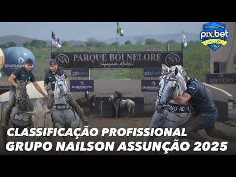 CLASSIFICAÇÃO PROFISSIONAL VAQUEJADA GRUPO NAILSON ASSUNÇÃO PARQUE BOI NELORE 2025 VAQUEJADA AO VIVO