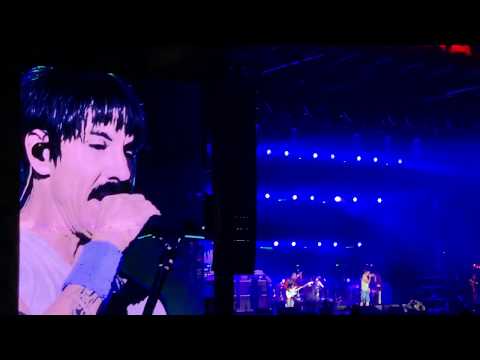 Red Hot Chili Peppers + Eddie Vedder "Just What I Needed" (The Cars cover) Ohana Fest 2019