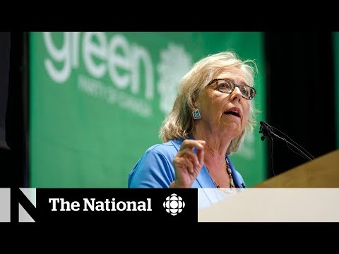 Green Party won't ban members from trying to reopen abortion debate, says May