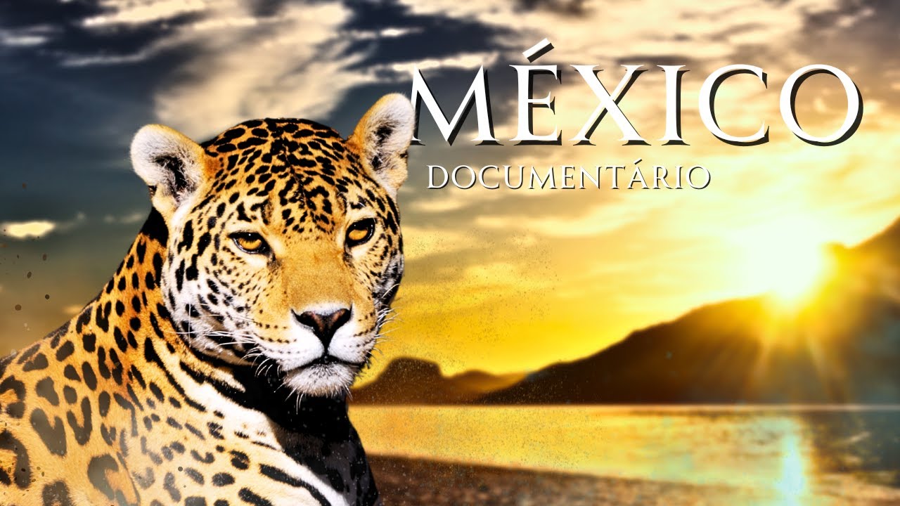 A Magia do MÉXICO | De Onças a Golfinhos | Documentário