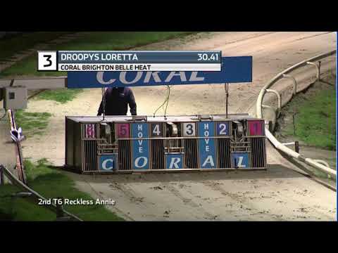 2020 CORAL BRIGHTON BELLE - HEAT 3 - T3 DROOPYS LORETTA