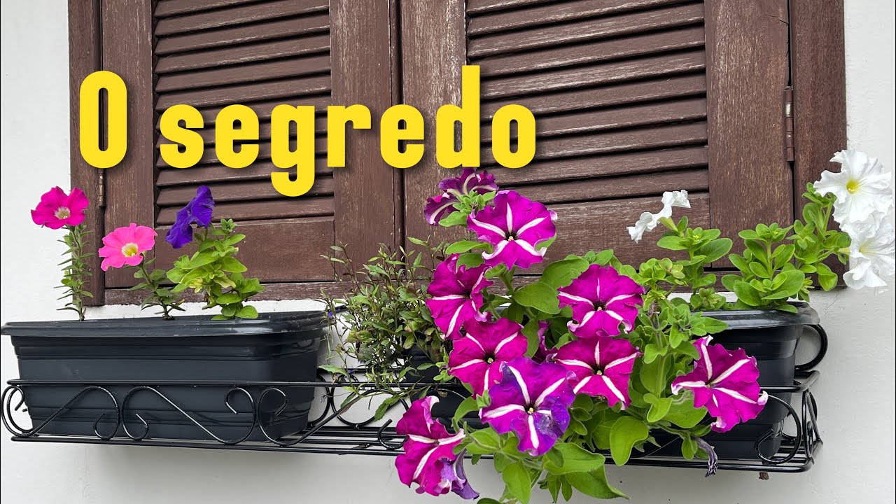 This fertilizer loads you with flowers