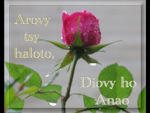 Ny foko, ry Mpamonjy, atolotro Anao - Fihirana FFPM 434 - Feon-kira - CM RATIA