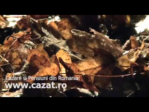 Cazare Paraul Carjei, Neamt - Cazat.ro
