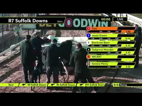 Carreras de Galgos - Suffolk Downs - 🇬🇧 SIS