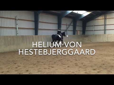 Helium Von Hestebjerggaard