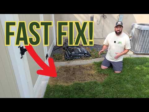 How To Fix A Bare Spot In Your Lawn FAST!