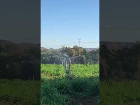 Irrigacão de pastagens