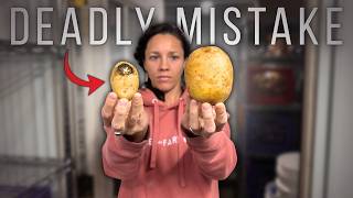 This Common Root Cellar Mistake Can Be DEADLY (easy fix!)