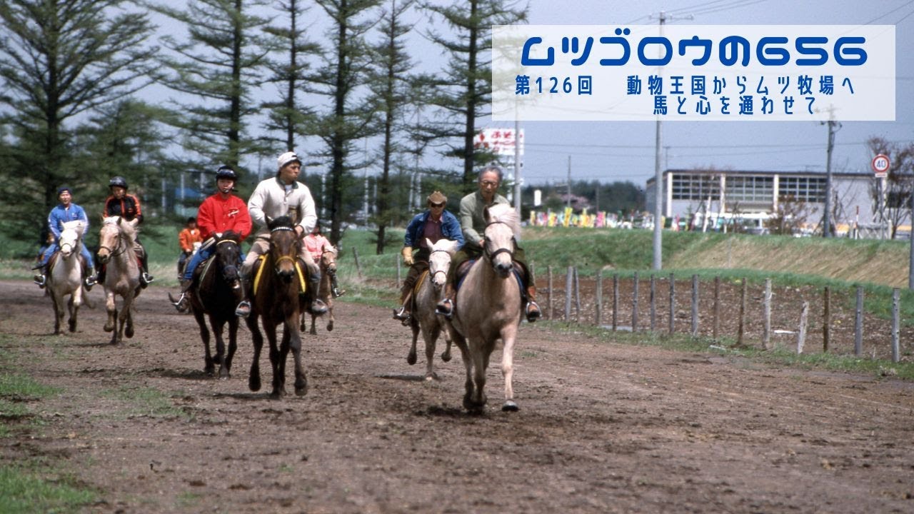 第126回 　動物王国からムツ牧場へ　馬と心を通わせて