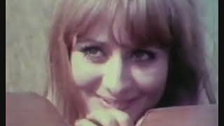 Korni Grupa - Roman sa kontrabasom