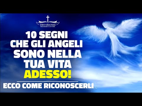 Il tuo Angelo Custode ti sta inviando dei segni, ecco come riconoscerli. Non li ignorare!