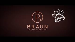 Коты-эксперты Publicis Aitys Advertising