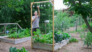 How to Build a Cucumber Trellis Using Only ONE PIECE of WOOD, CHEAP and EASY Backyard Gardening