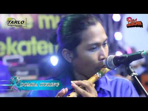 Domba Kuring - OM TARLO - Brenda Vanessa - Solo Surakarta 2023