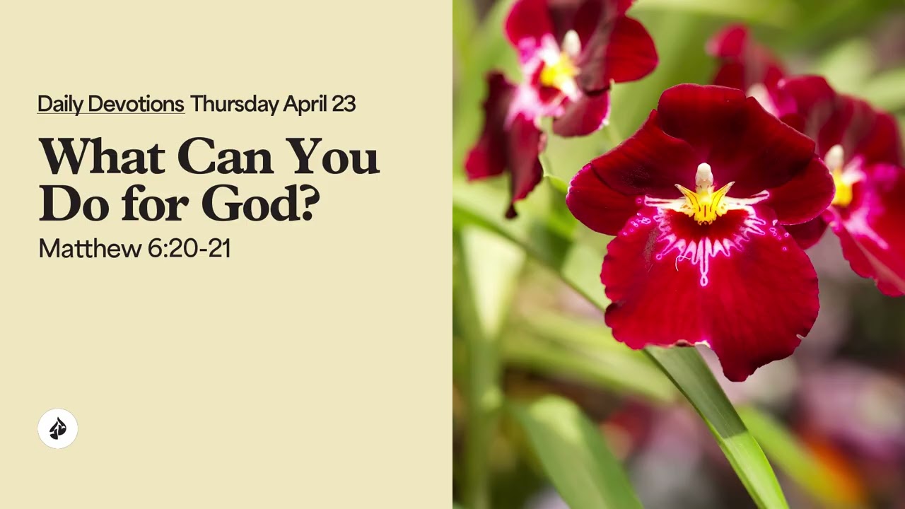 What Can You Do for God? – Daily Devotional