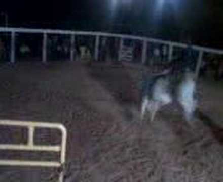 Thyago Gianotti X Touro vanerao