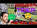 White Tiger ATTACK In Delhi Zoo FullVideo Without Blur Ablog Indian Z00 Indian Zo0o Park