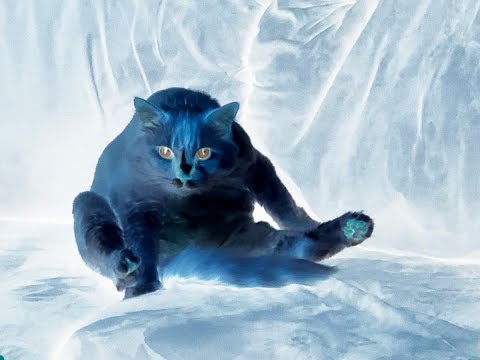 Bootleg Tuesday (8/13/2019) Dicey Dungeons