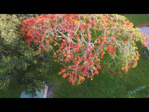 Robbins Open Space Preserve, Davie, FLorida