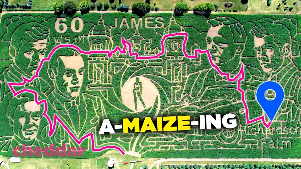 How The Most Elaborate Corn Mazes Are Made - Cheddar Explains