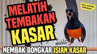 Download lagu 99,9% Cepat masuk ! MASTERAN MURAI BATU FULL ISIAN TEMBAKAN KASAR‼️ mp3