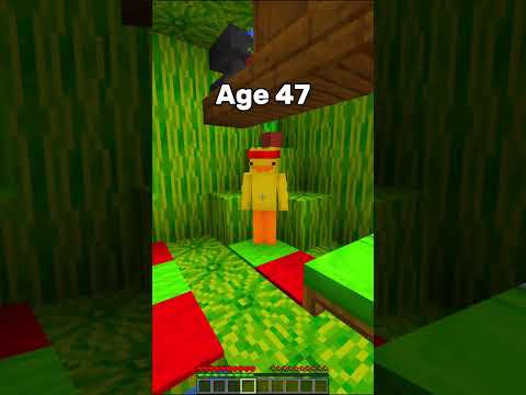 Hidden Bases In Every Ages (World's Smallest Violin) #shorts #minecraft