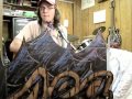 "Seaweed" by Fruit Bats covered by Dylan of Land & Sea