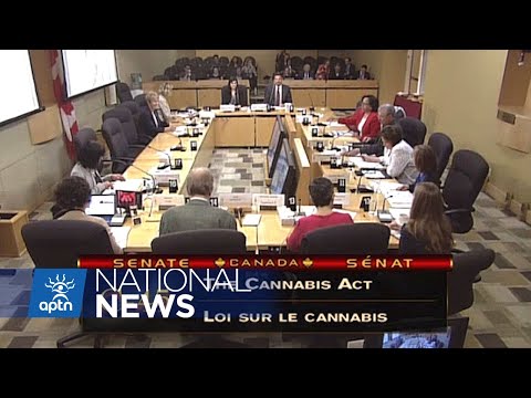 Learning about cannabis from our southern neighbours | APTN News