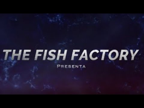 01 The Fish Factory Novedades en CD