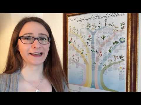 Bachblüten des Dr. Bach kennenlernen - mehr als Rescue-Tropfen! #bachblüten #parkapotheke