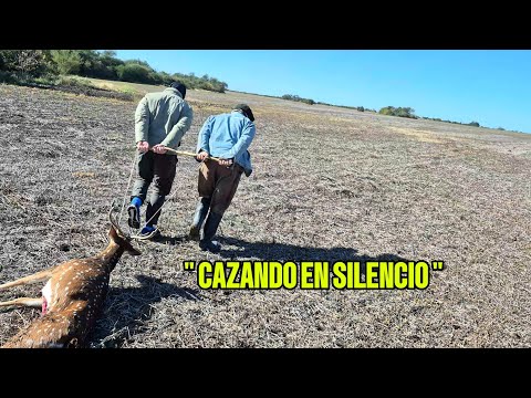 🔥🎯 Axis deer hunting in Argentina, hunting and cooking