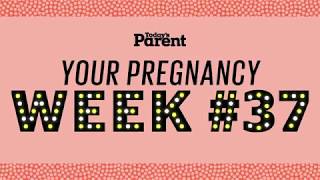 Your pregnancy: 37 weeks