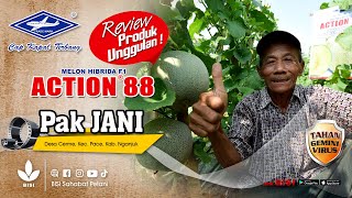 Download lagu BISI Sahabat Petani: Review Produk Unggulan #melon Hibrida #ACTION88 - Jani Nganjuk, Pancene Jos !!! mp3