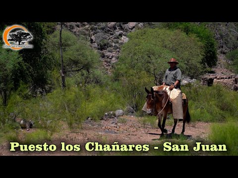 183 Puesto Los Chañares, San Juan - Estancias y Tradiciones
