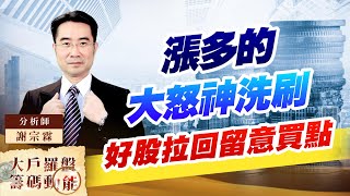 漲多的大怒神洗刷 好股拉回留意買點