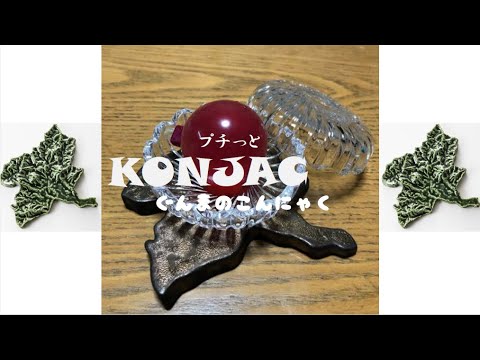 国際学科 【コンニャクスイーツ】プチっと,ぐんまのこんにゃくを割る動画です