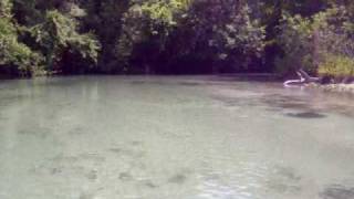 preview picture of video 'Weeki Wachee river'
