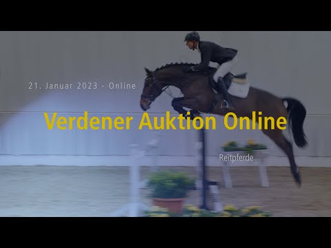 Verden Auction Online - January, 21st