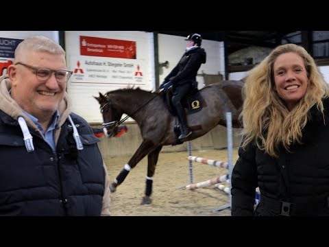 Einblick in die Dressur-Pferdezucht - Joey kommt vor den Schlitten und Bon Amie soll verkauft werden