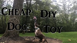 Quick Cheap Diy Way to Keep Your Dog Entertained