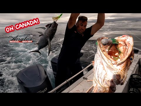 Insane Canadian Albacore Tuna & Lingcod (All In The Same Day)