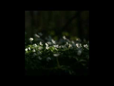 Blazej Malinowski - Factors (Full Album 2013)