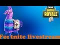 Gaan we winnen??  - Fortnite battle royale livestream